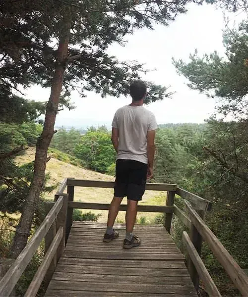 A Proximite Daumont Aubrac