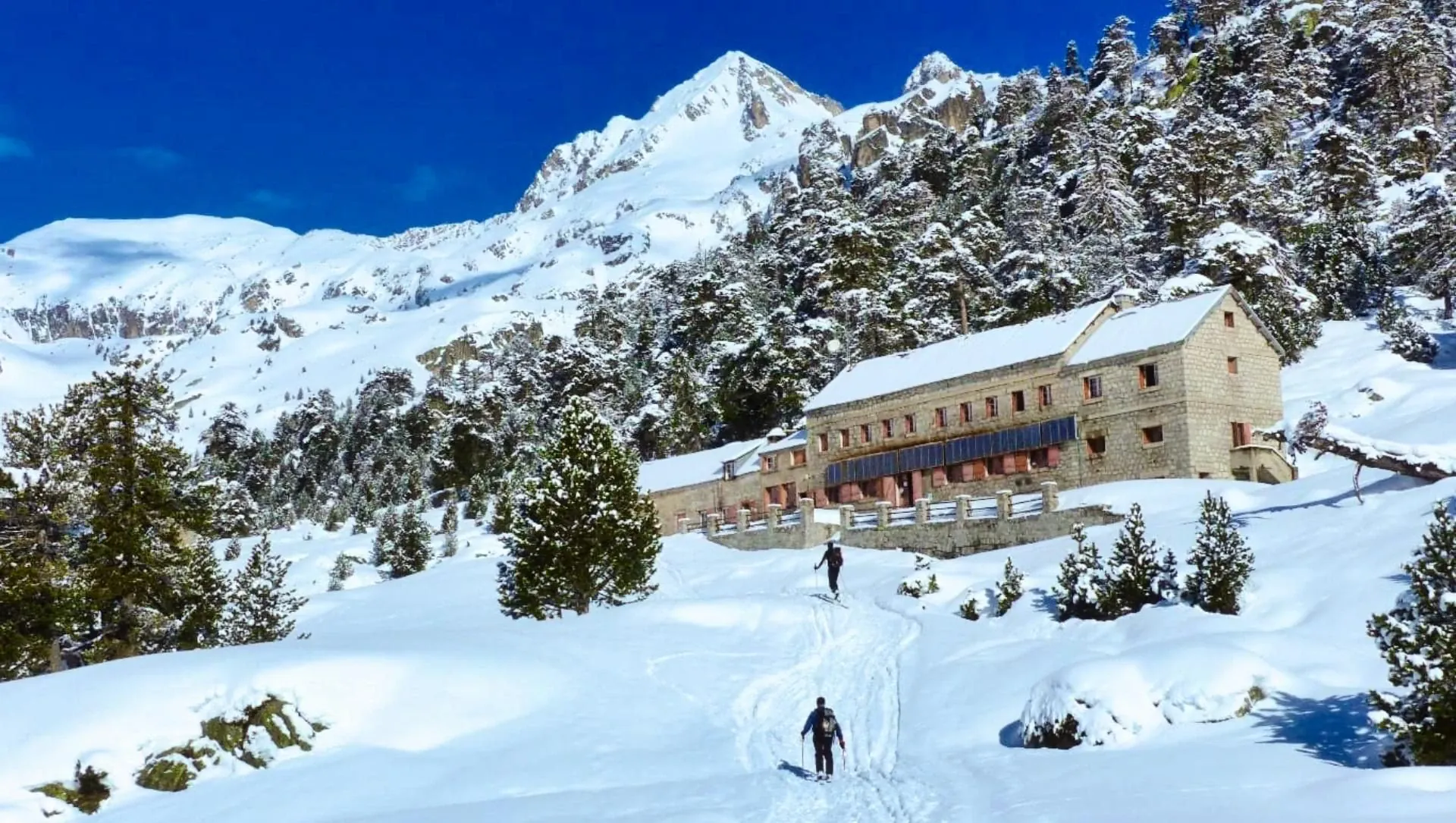 Bâtons de randonnée ajustables à segments emboîtables