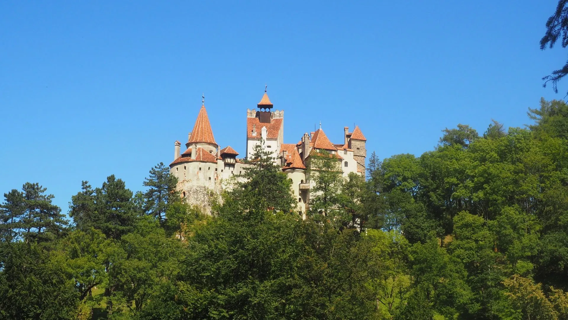 Vue aerienne du chateau de Bran - Carpates - Roumanie