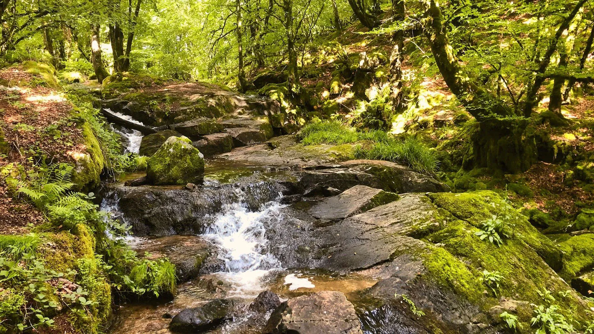 Ruisseau d Aitone pres d Evisa - Corse - France