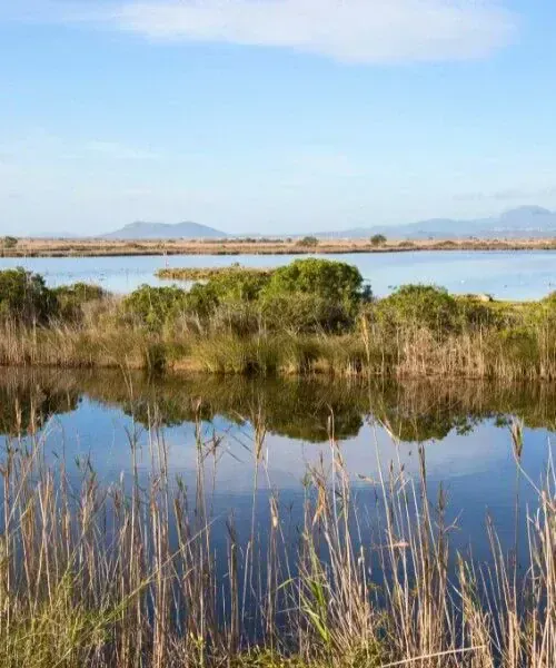 Marais d'Alcúdia - Majorque - Espagne