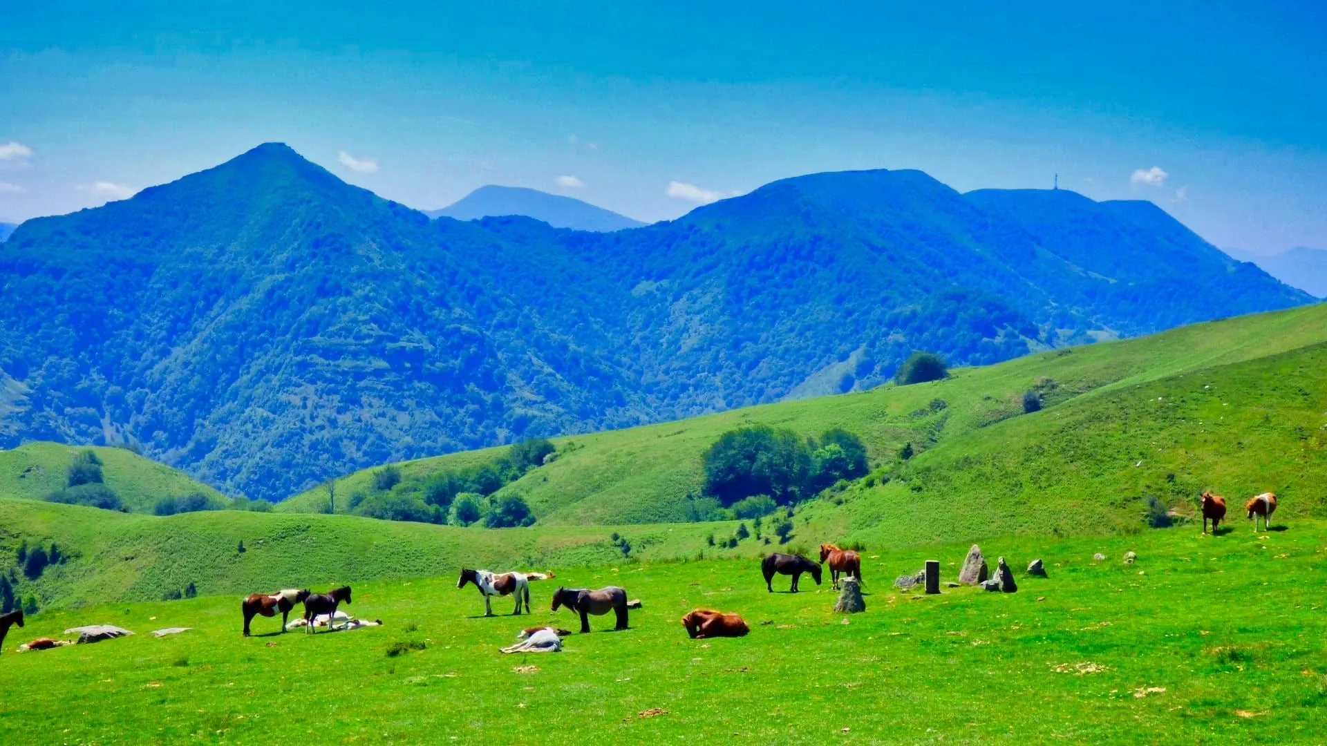 Col de Allimas - Vercors - France