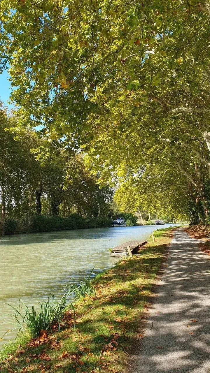 Le long du canal du midi