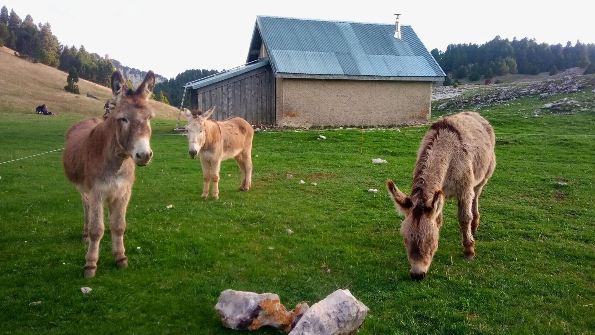 Paysage alpin entre Salzbourg et Vérone - Autriche
