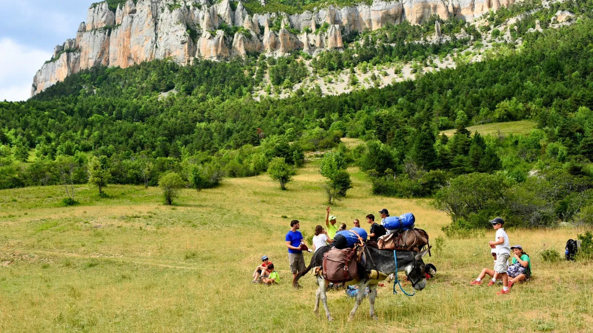 Prairies alpines du Val Gardena - Dolomites - Italie