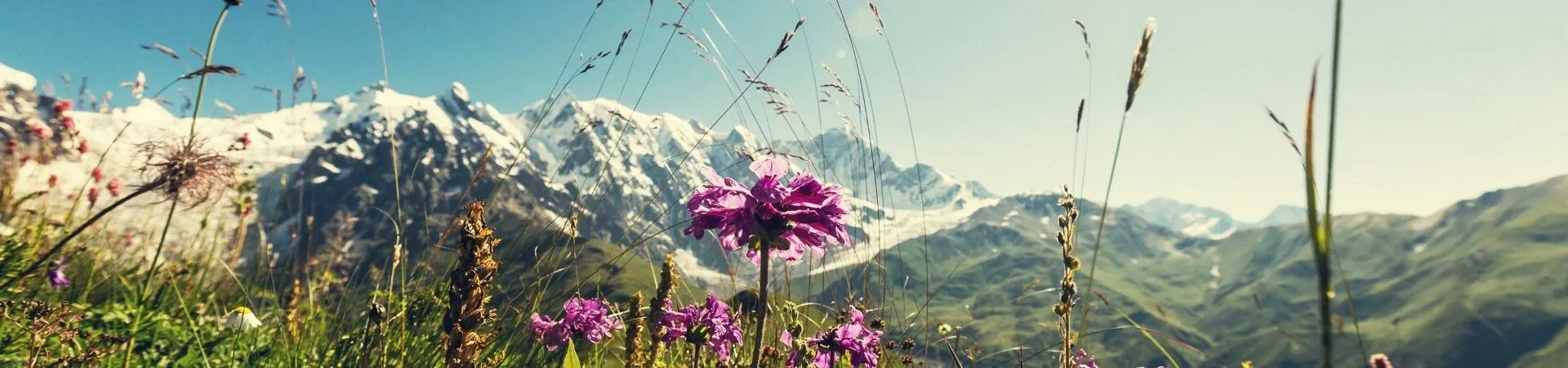 Panorama alpin sur le Tour du Mont-Blanc - Alpes
