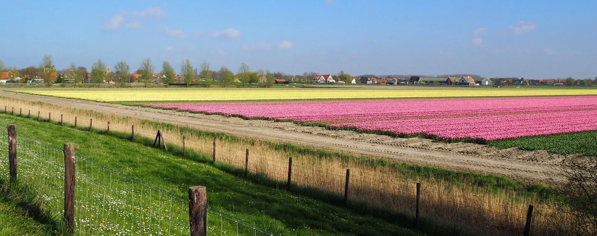 Amsterdam Bruges - Pays-Bas - amsterdam-bruges-pays-low-2