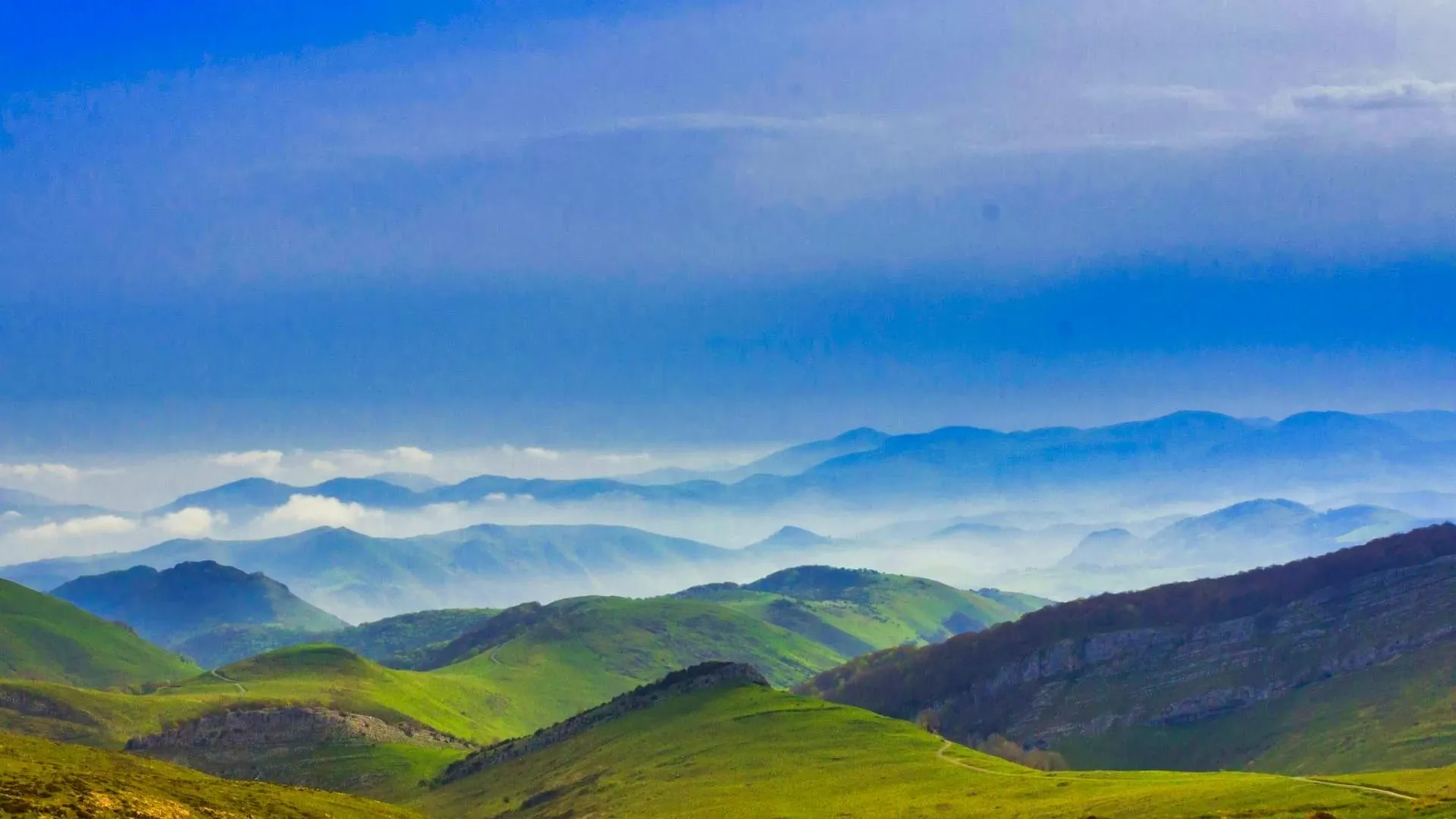 Collines andalouses entre Olvera et Puerto Serrano - Andalousie - Espagne