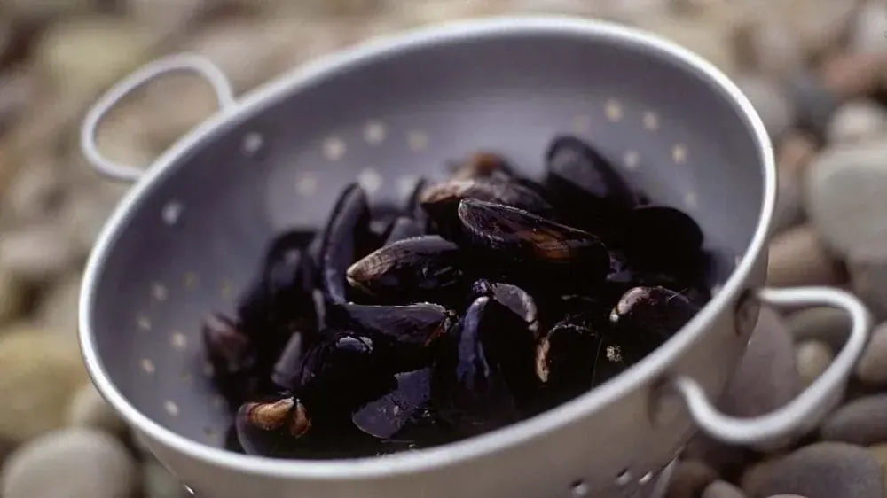 Planche d'antipasti - Côte d'Azur - France © Marie-Odile Ré