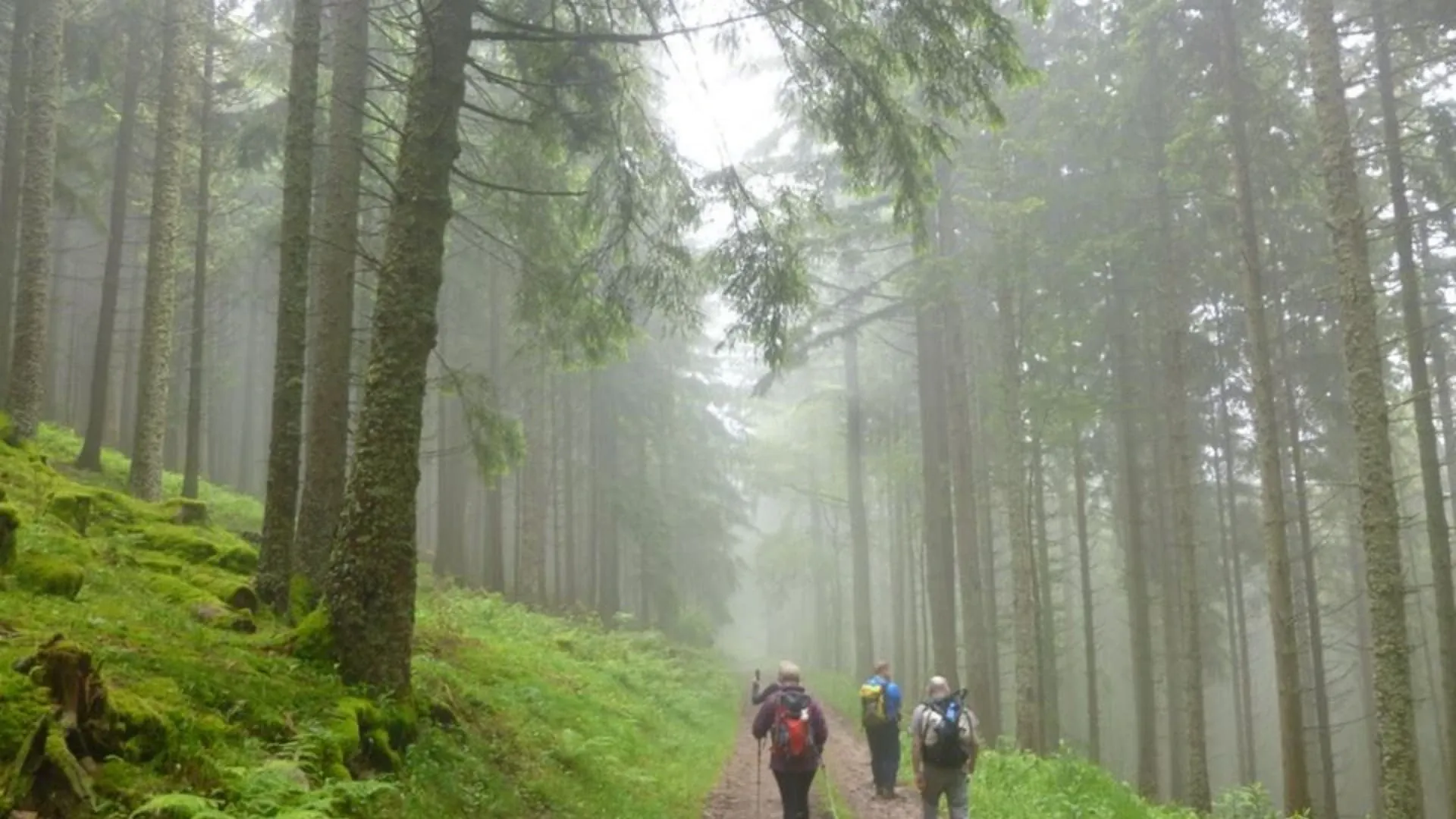 Arcs de Saint-Pierre - Gorges du Tarn - France © Claire Durot