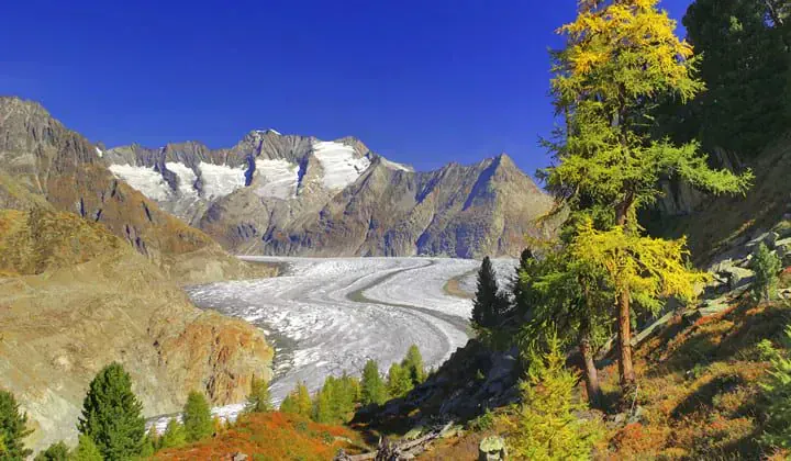 Vue automnale sur le glacier d'Aletsch - Valais Suisse