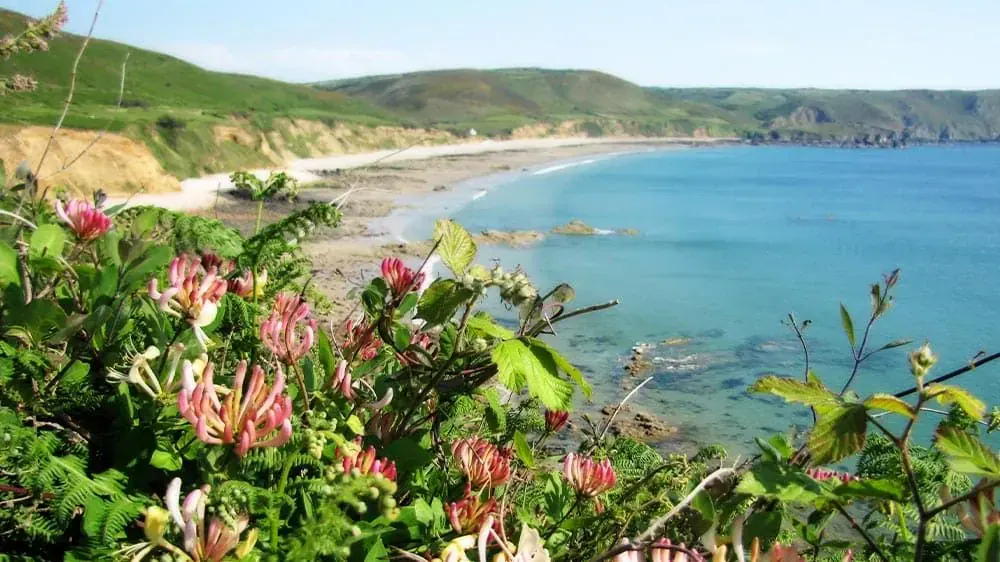 Baie Ecalgrainrmathilde Mochon Pour Le Cdt50 - France