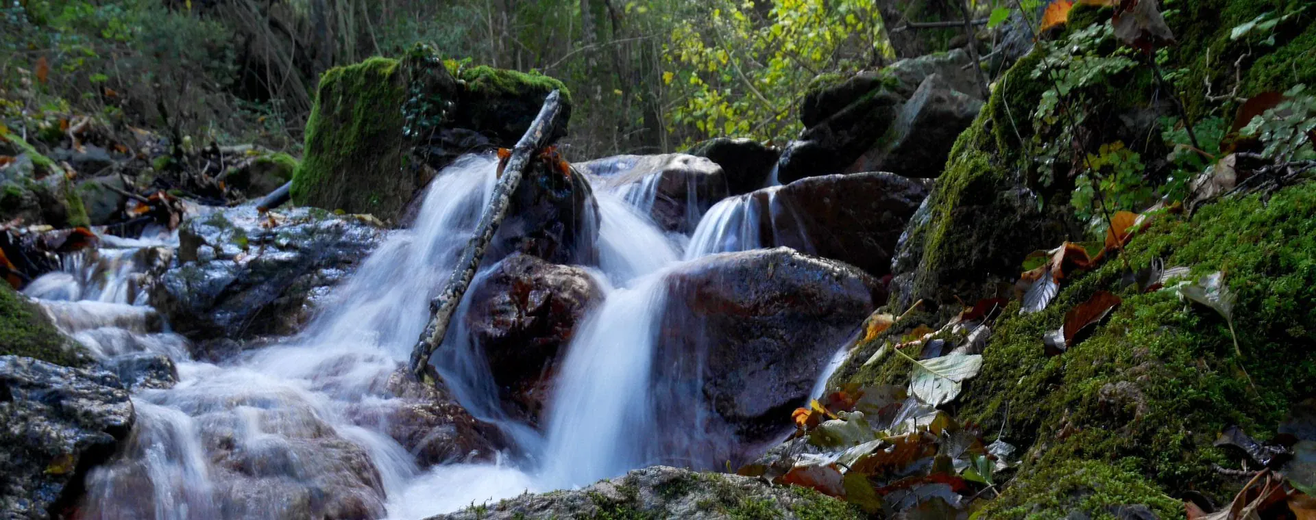 Rives de l Elbe saxonne - Tchequie © Europe Bike Tours
