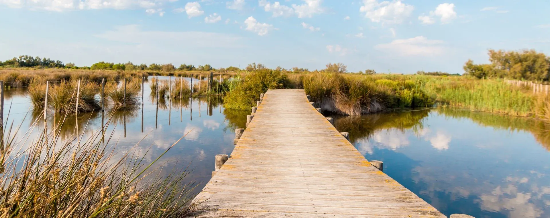Bords de Saône en Bourgogne - France