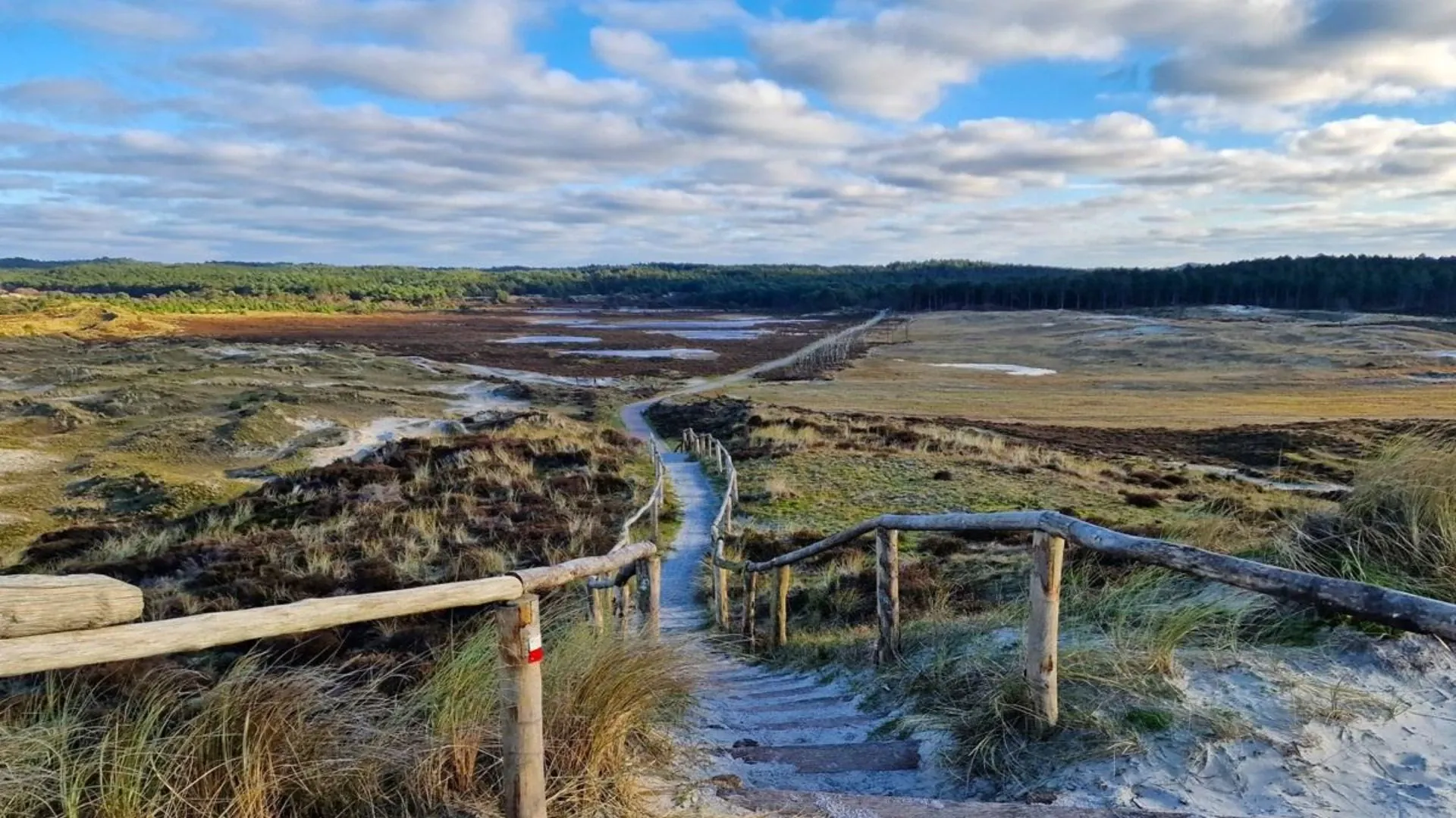 Architecture baroque de Dresde - Saxe - Allemagne