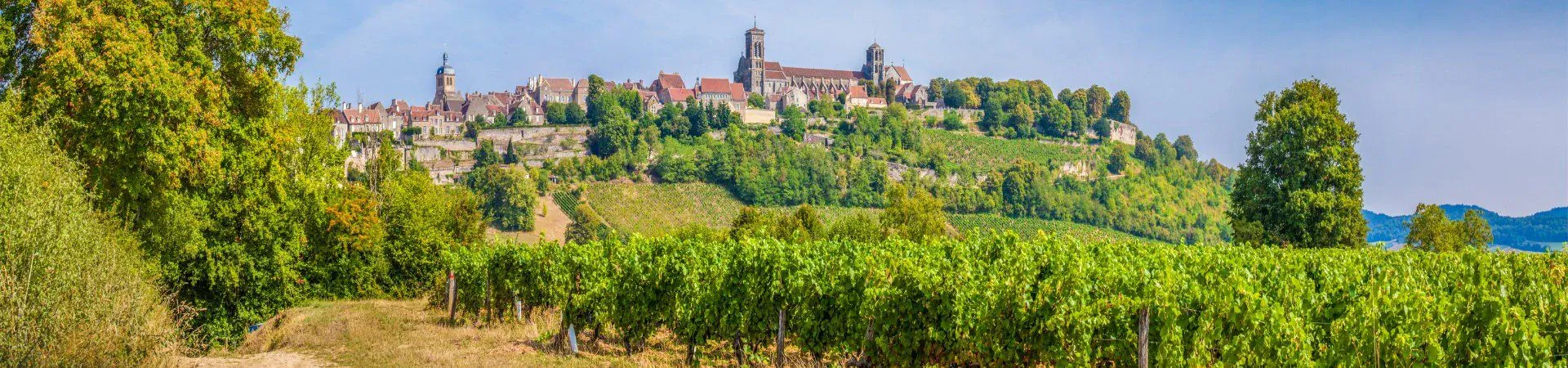 Basilique dominant les vignobles - Vezelay - Bourgogne