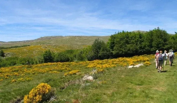 Randonnée sur la plage à Belle-Île-en-Mer - Bretagne - France © Jean-Claude Praire