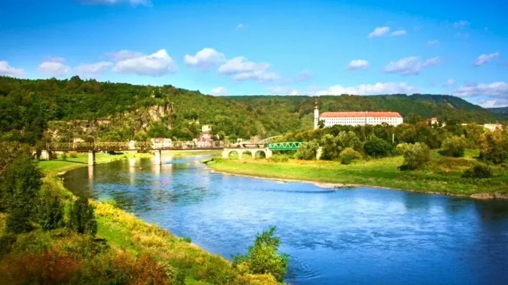 Allee de hetres en automne - Plateau de Millevaches - France