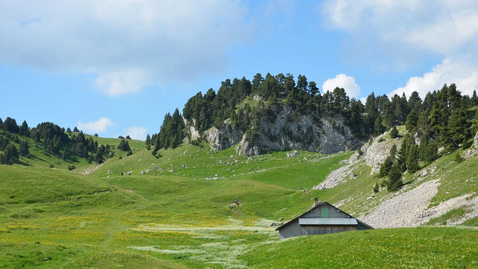 Bergerie Des Chaumailloux Dans Le Quentin Vanaker - Vercors - France