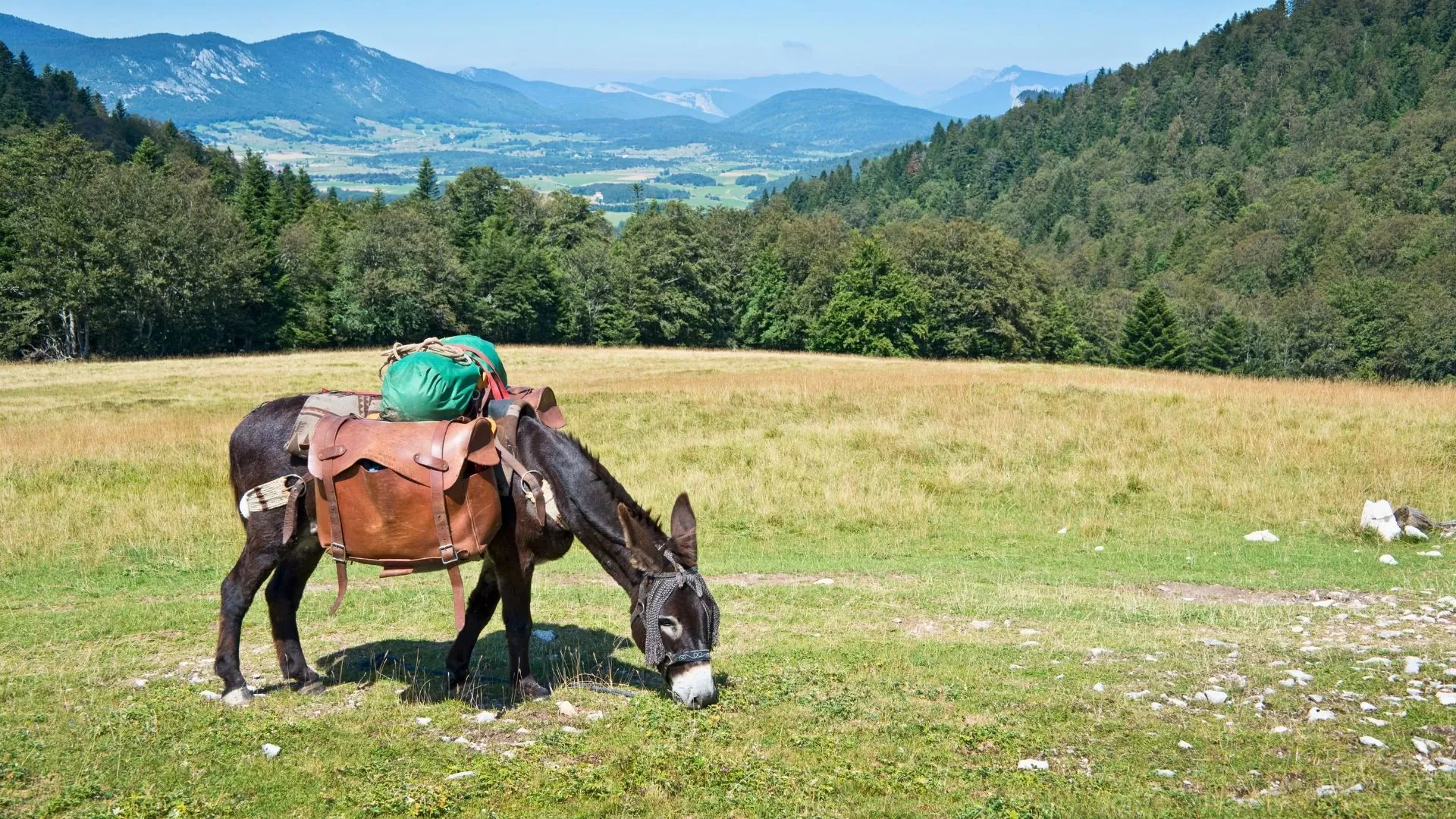 Piste cyclable dans les Pays Baltes - Lituanie