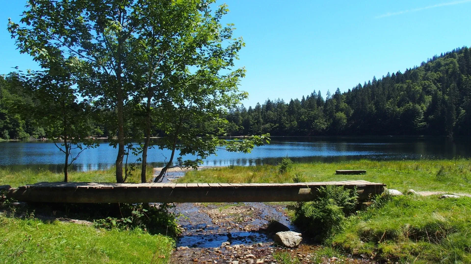 Forêt-Noire en hiver - Allemagne © Raymond Chabanier