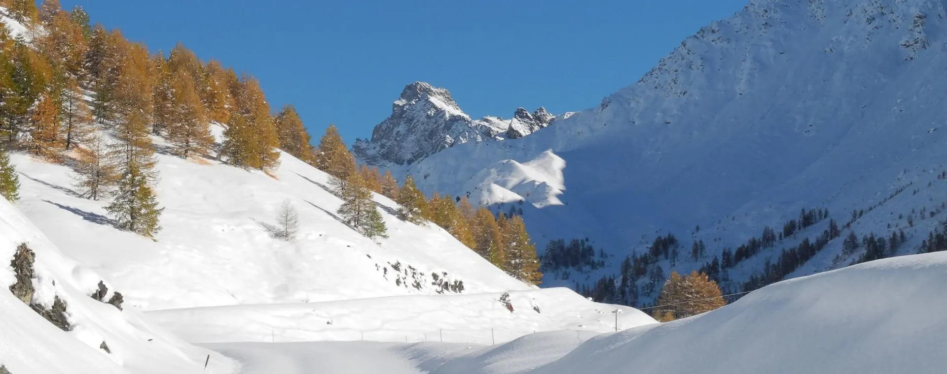 Paysage de la Forêt-Noire - Allemagne - black-forest-landscape-germany-2