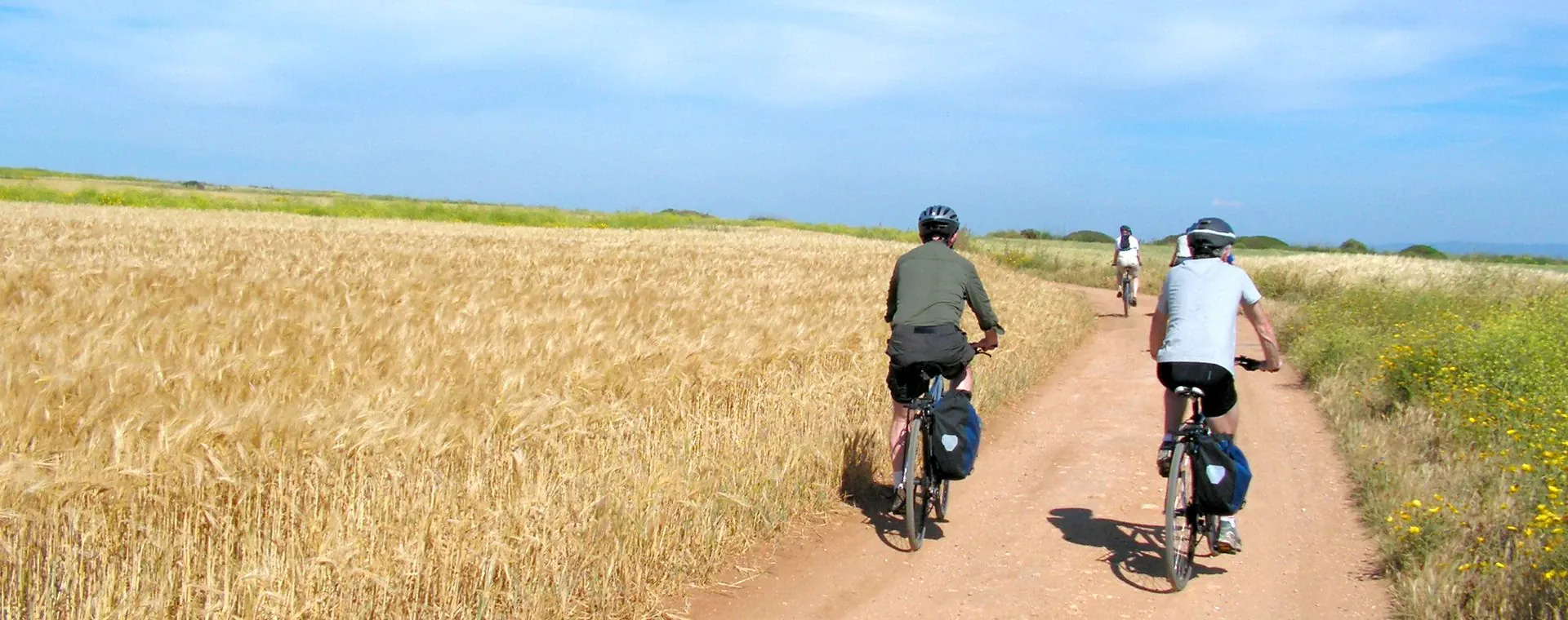 Ble Sardaigne - Sardaigne - Italie