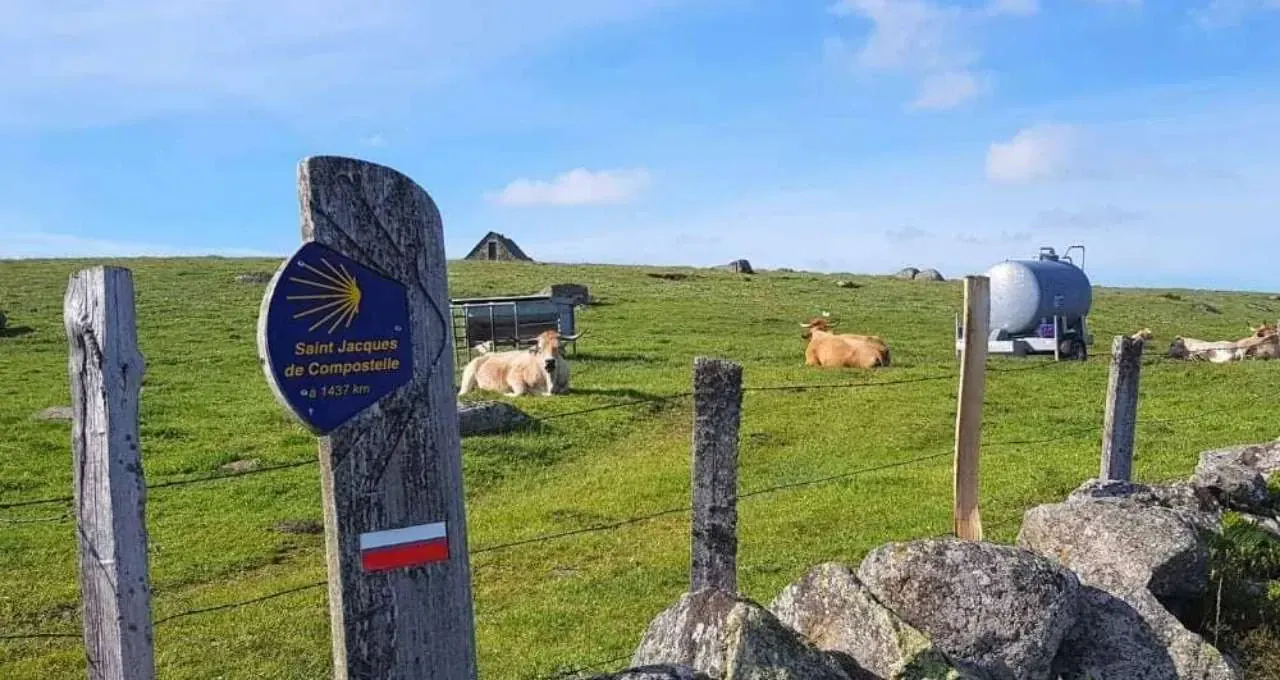 Sur le chemin de Compostelle, de l'Aubrac à Conques | Grand Angle