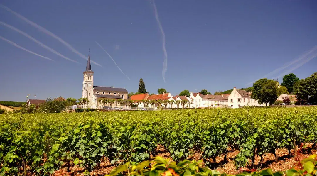 Bordelais et Languedoc