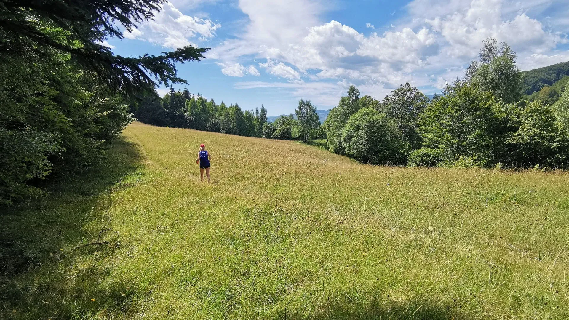 Chateau de Bran dit de Dracula - Carpates - Roumanie
