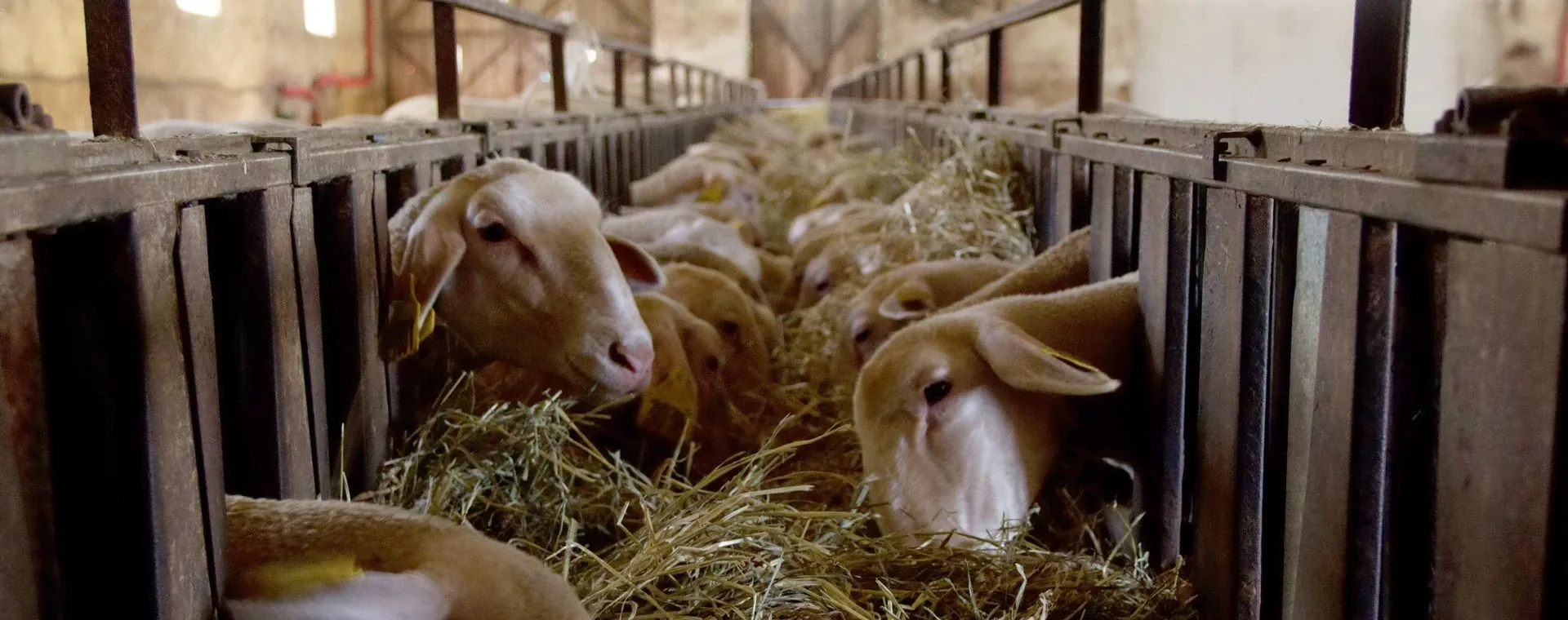 Bratislava - Slovaquie