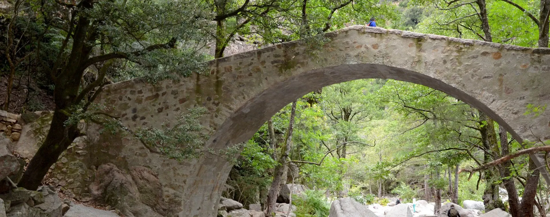 Pont Genois Zaglia Gorges Spelunca Corse - Corse - France