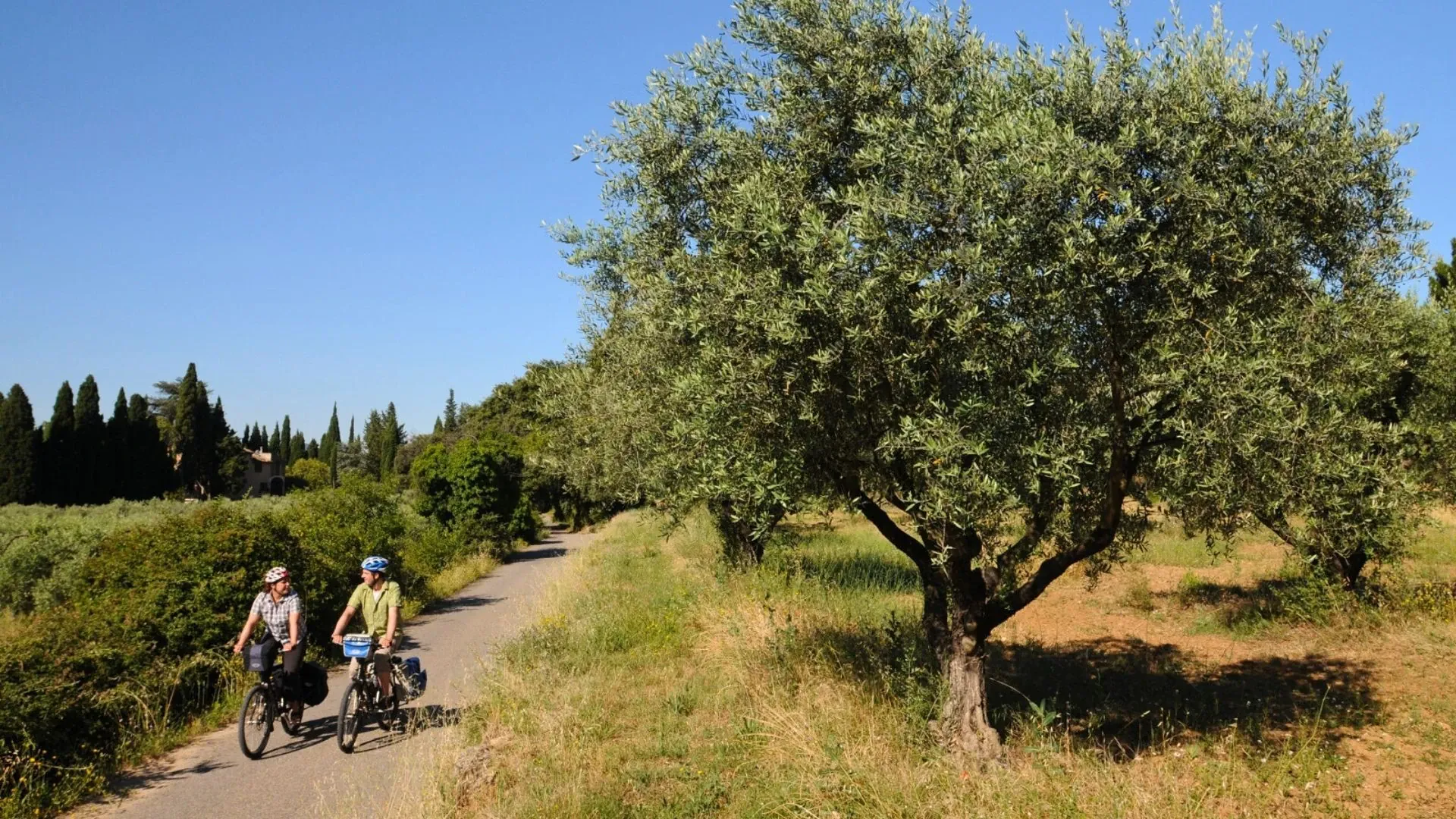 Paysage côtier de Bretagne - Vélomaritime - France
