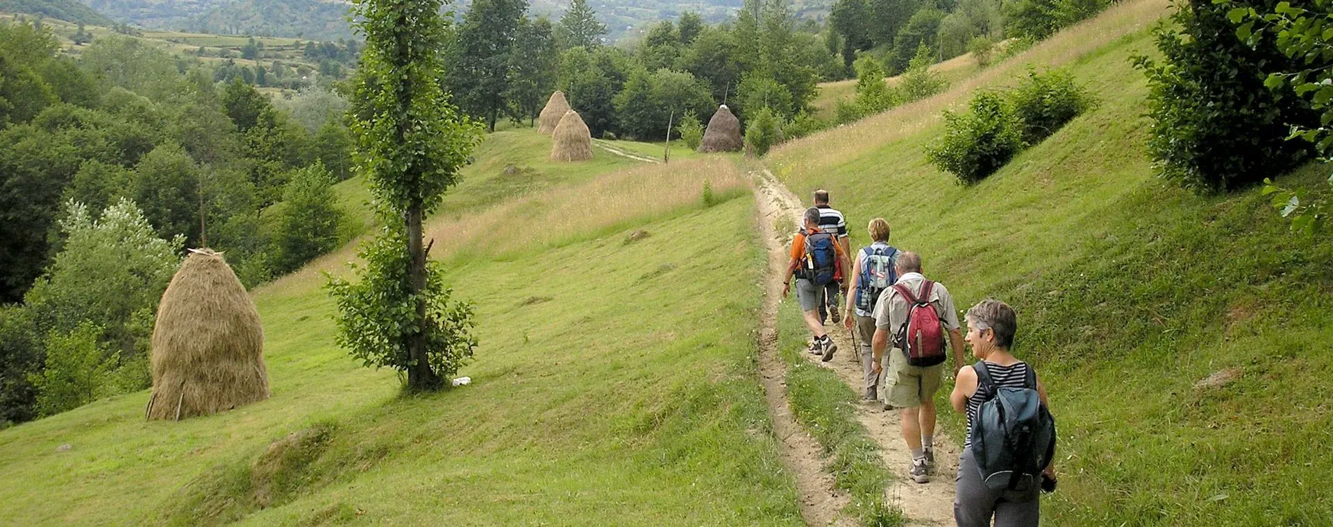 Paysage bucolique - Roumanie