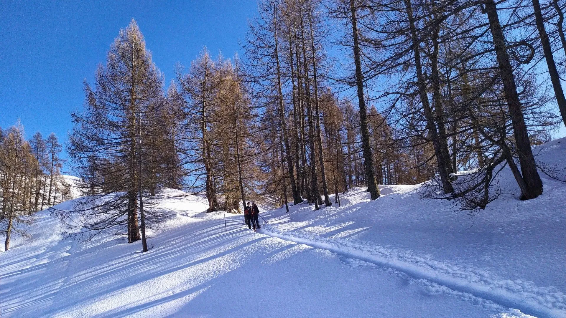 Château de Burg Eltz - Vallée de la Moselle - Allemagne