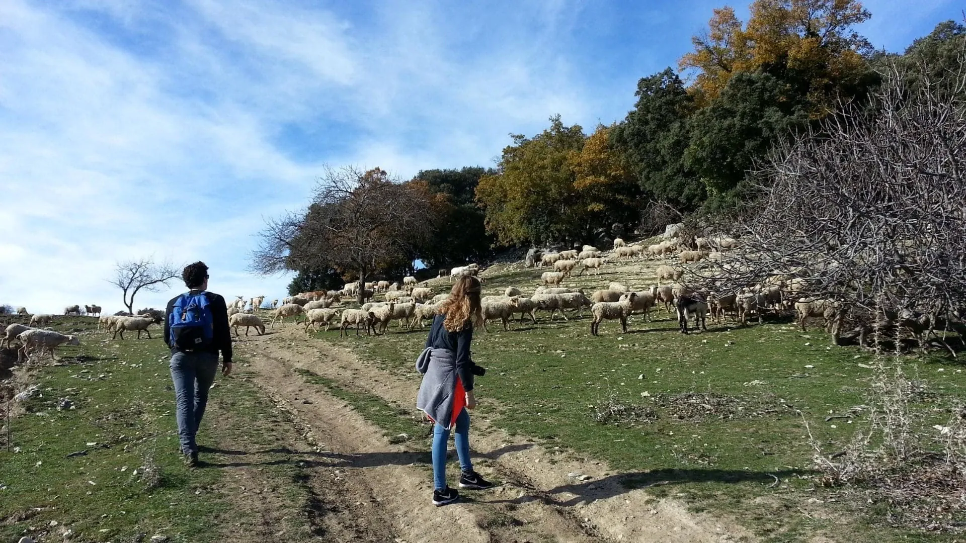 Caliphate - Espagne - caliphate-spain-2