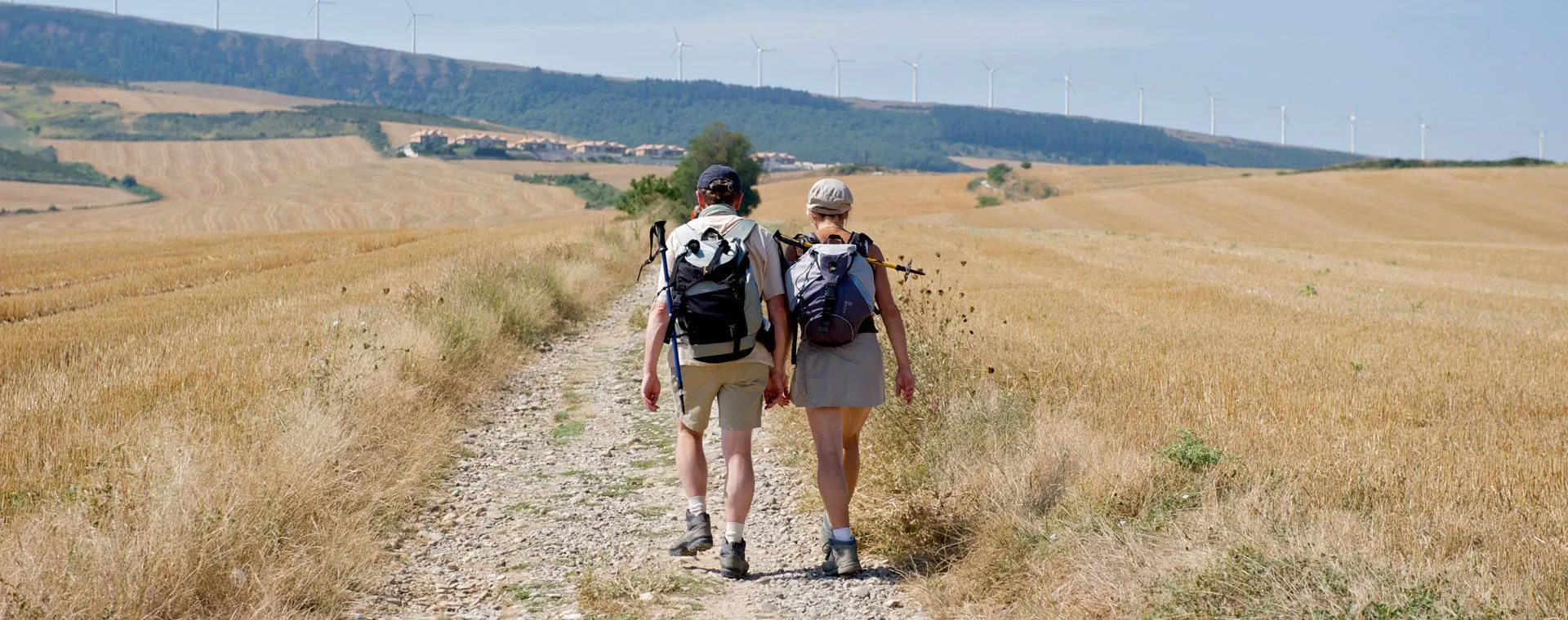 Camino de Santiago - Saint-Jean-Pied-de-Port a Logrono - Espagne