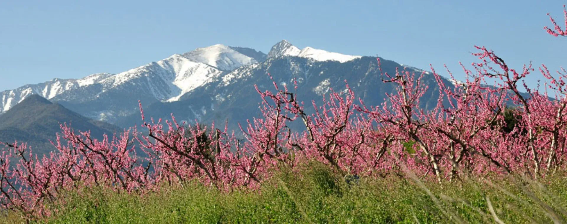 Canigou - France