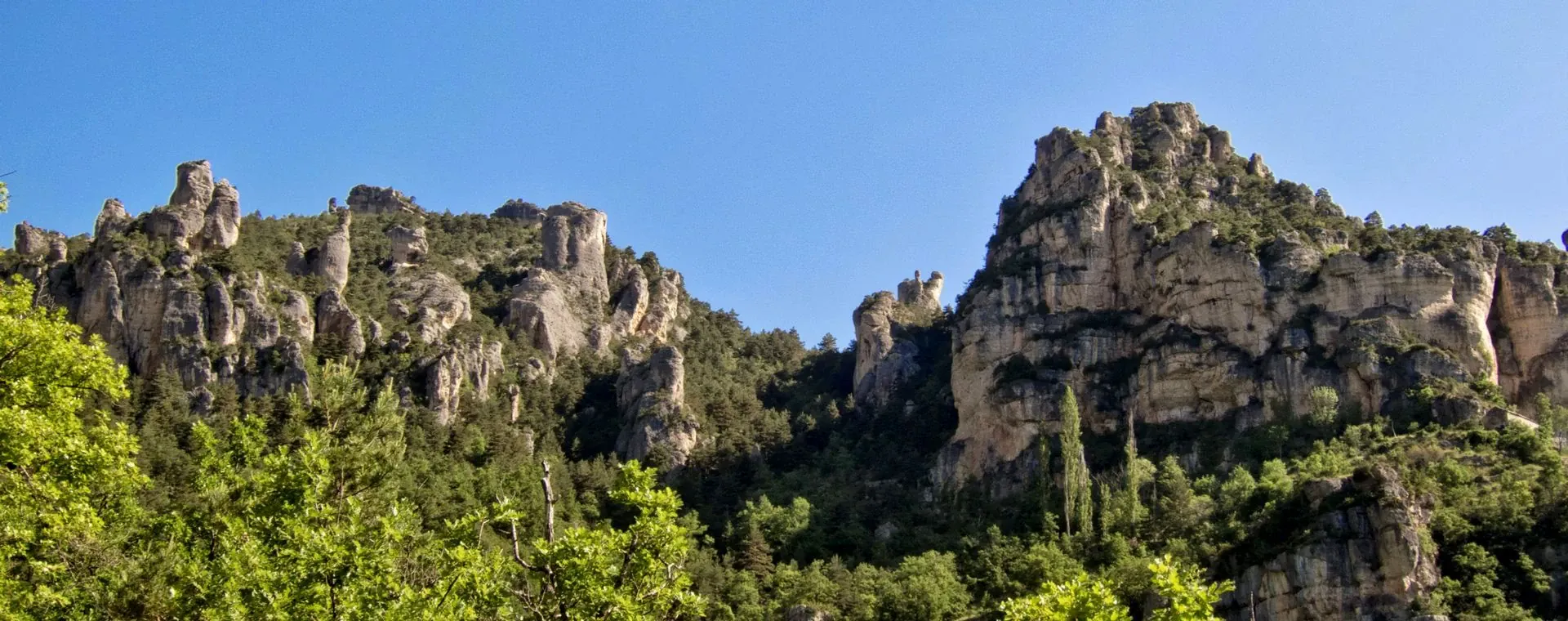 Paysage du Cantal - Massif Central - France