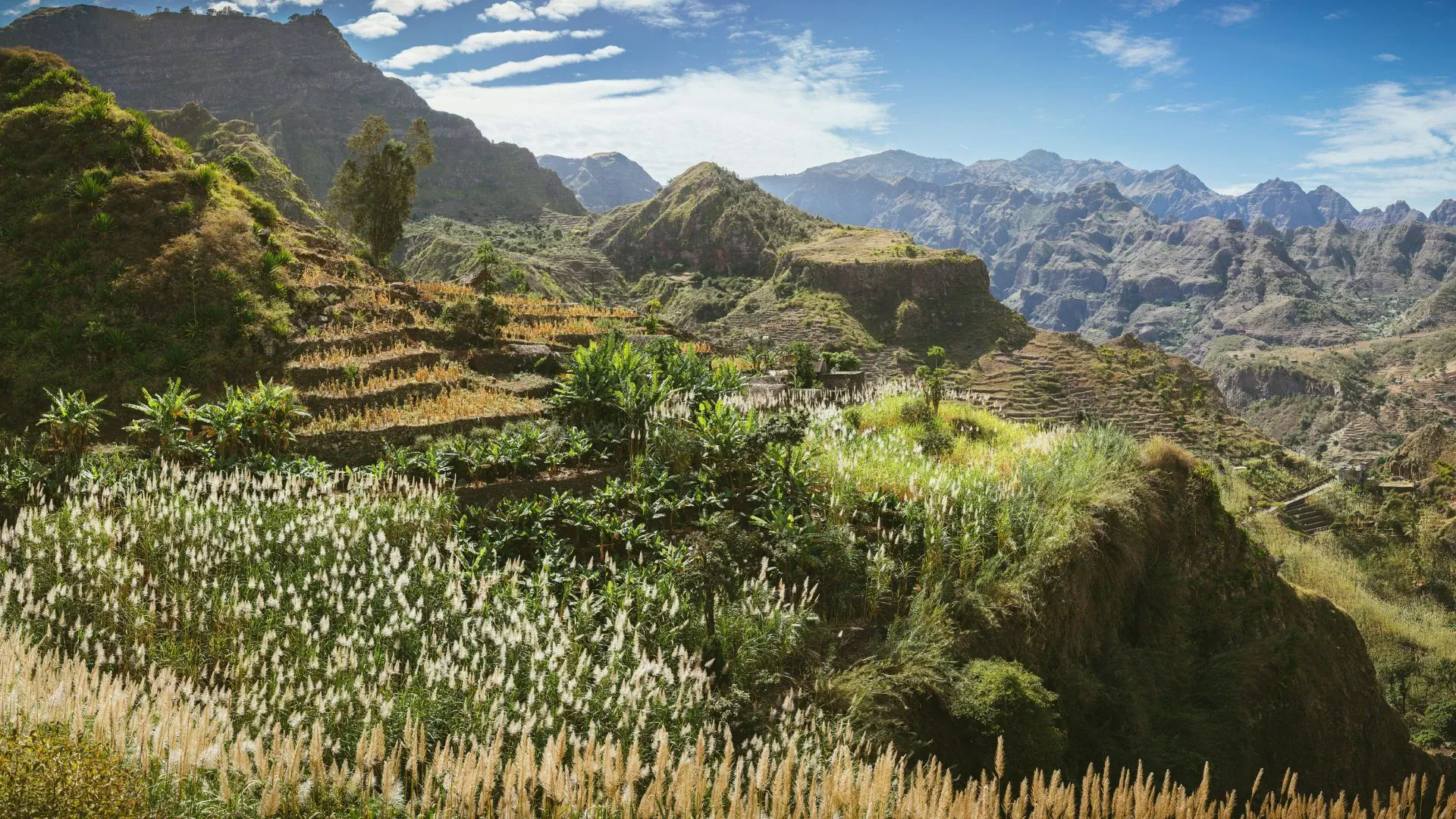 Cap Vert Montagne Cadobestock - Cap-Vert