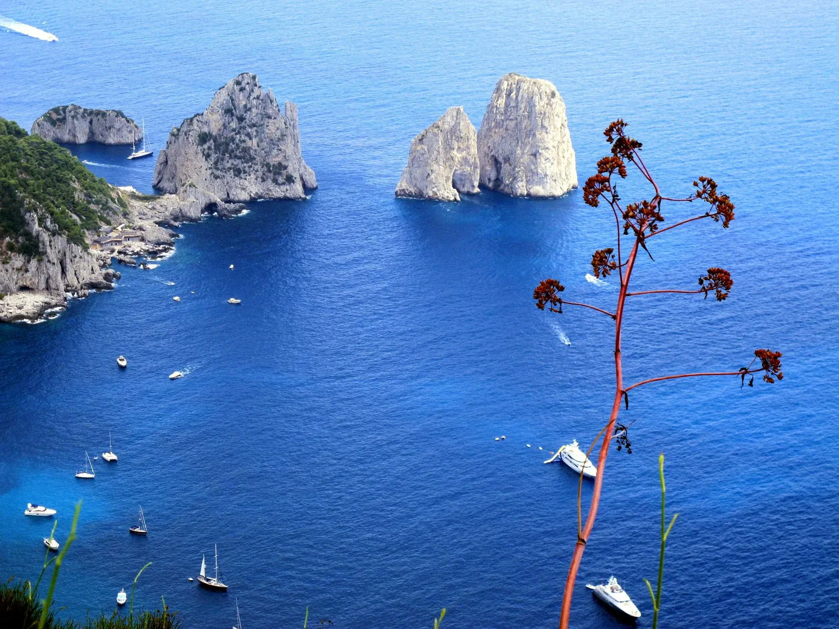 Capri