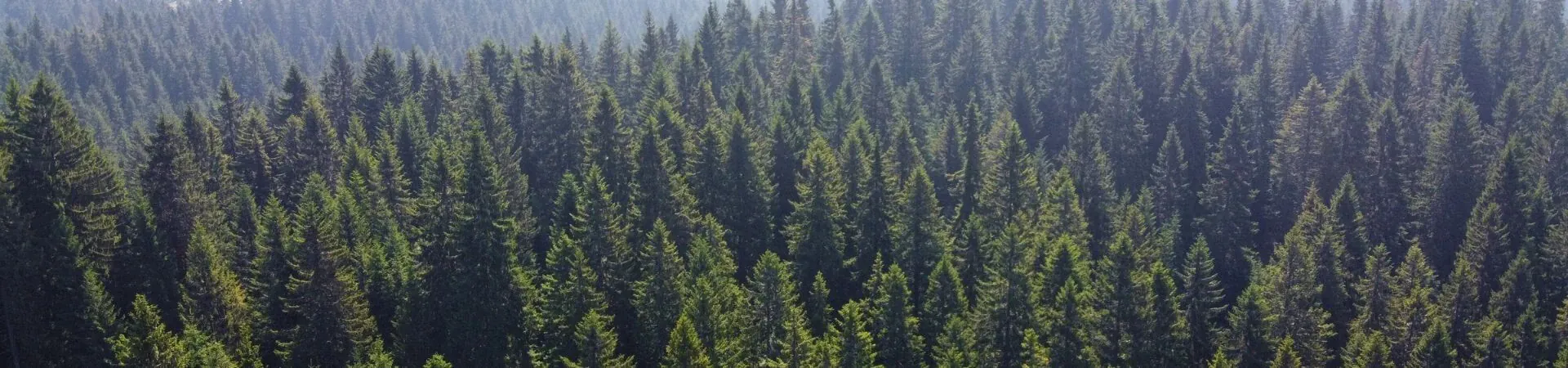 Grand Angle : agence de voyage durable | Grand Angle