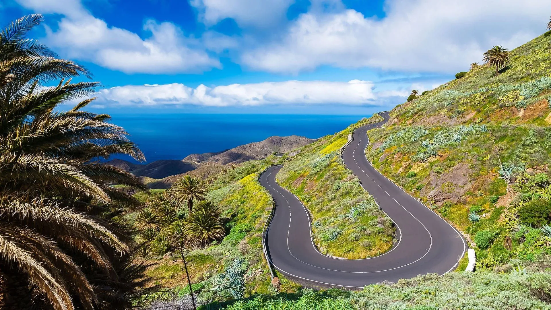 Route des carrelets a Port-des-Barques - Charente-Maritime - France