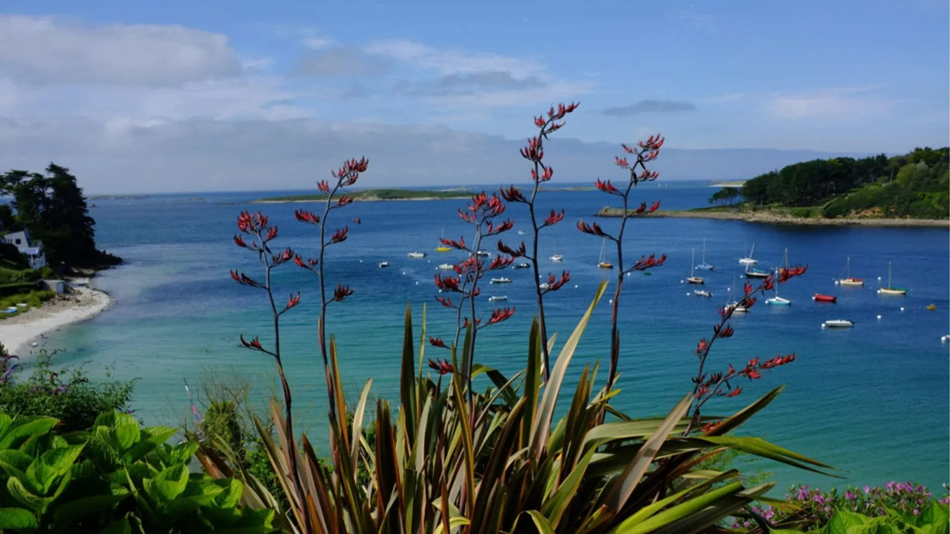 Ruines de l'abbaye de Cârța - Transylvanie - Roumanie © David Praire