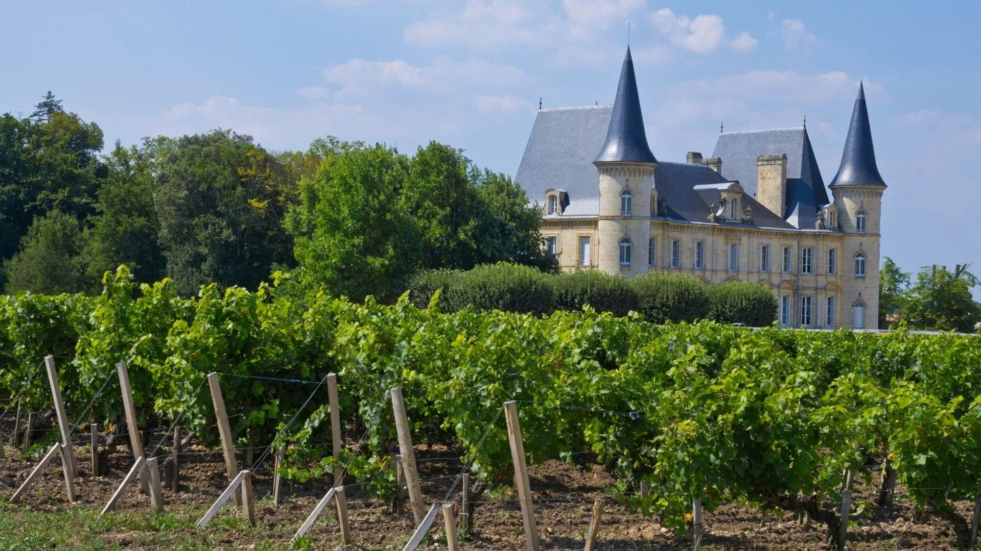 Chateau Medieval Et Vignoble En Gironde - France