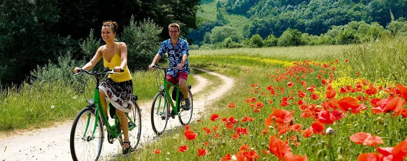 Chateau sur le Rhin - Vallee du Rhin - Allemagne