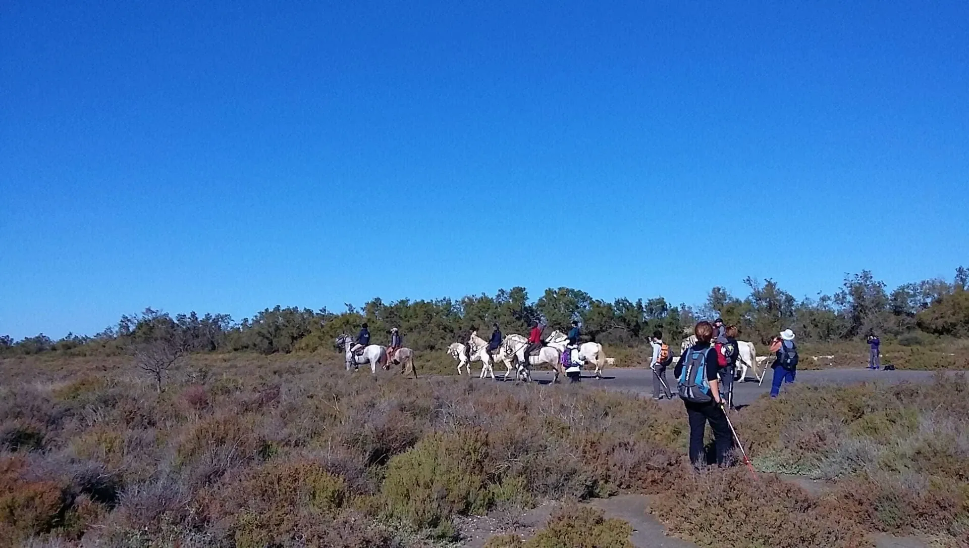 Cavaillon depuis la colline Saint-Jacques - Luberon - France