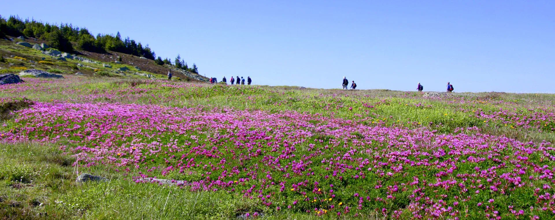 Cevennes - France - cevennes-france-11