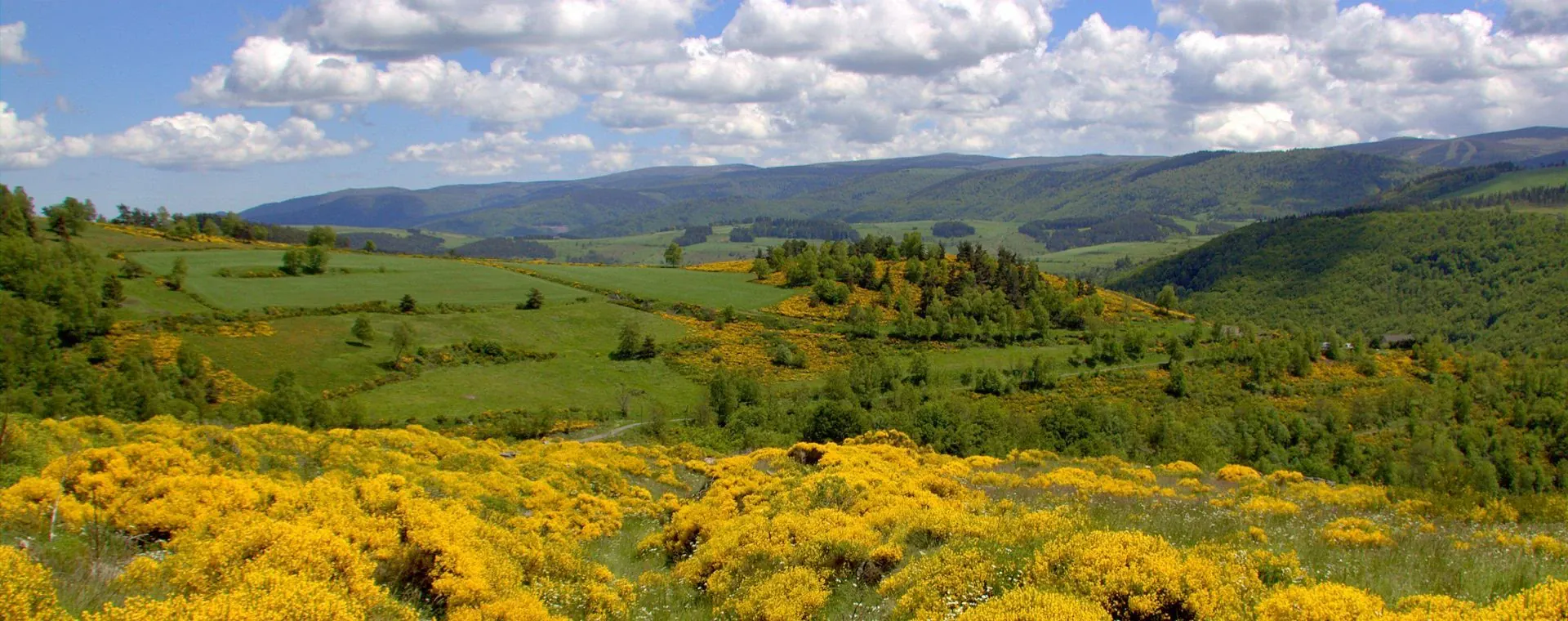 Cevennes - France - cevennes-france-2