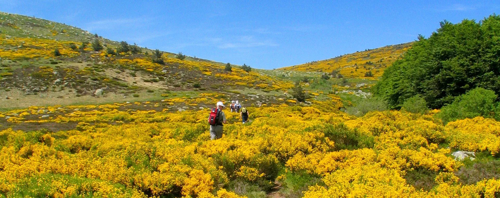 Cevennes - France - cevennes-france-3